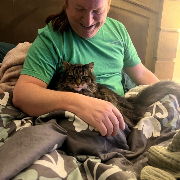 NIB Lawless The Dreamy Daisy Forget The Filler Lip Plumping Gloss & Cream Blush - Picture 2 of 6